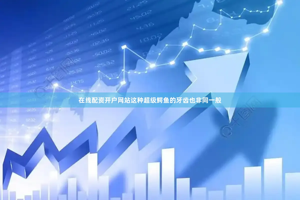 在线配资开户网站这种超级鳄鱼的牙齿也非同一般