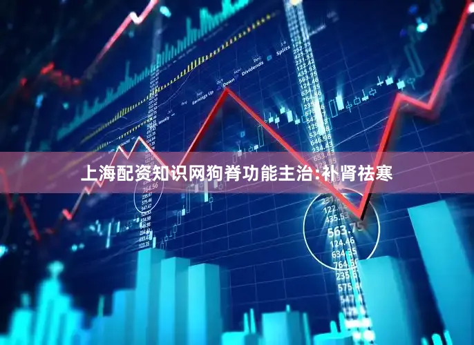 上海配资知识网狗脊功能主治:补肾祛寒