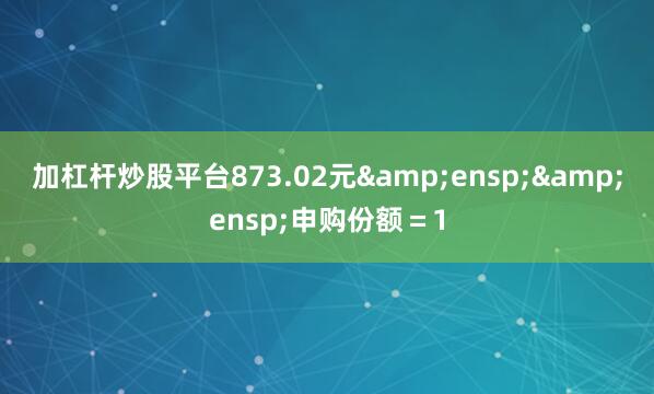 加杠杆炒股平台873.02元  申购份额=1