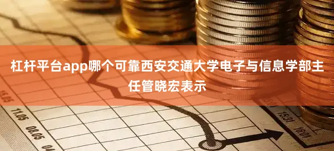 杠杆平台app哪个可靠西安交通大学电子与信息学部主任管晓宏表示