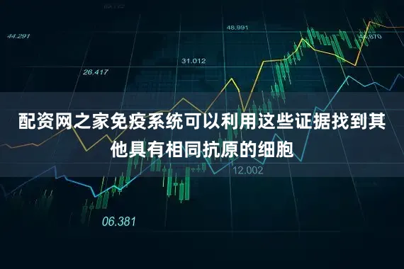 配资网之家免疫系统可以利用这些证据找到其他具有相同抗原的细胞
